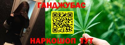 гашик Можга