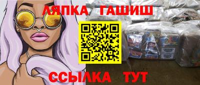 индика Моздок