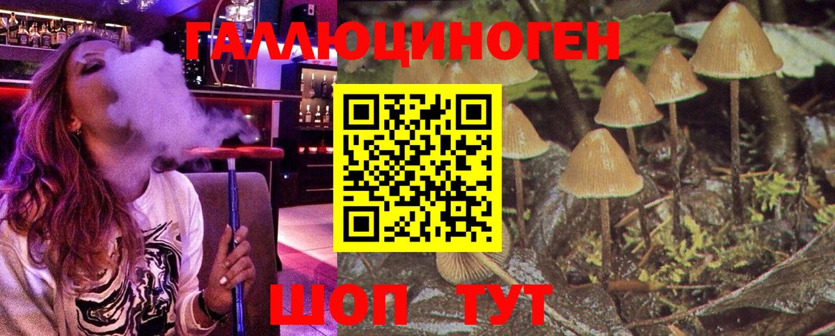 Псилоцибиновые грибы Psilocybe  Вход с VPN  Владикавказ  Псилоцибиновые грибы MAGIC MUSHROOMS 