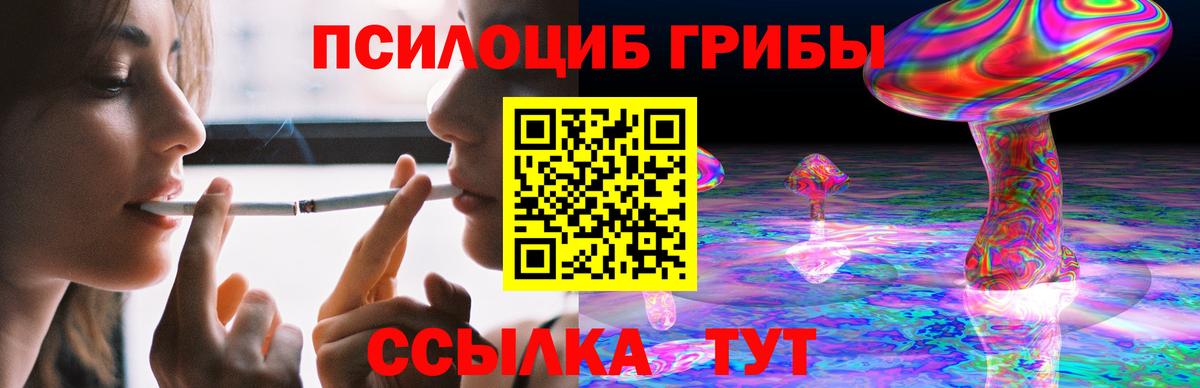 Псилоцибиновые грибы мицелий Владикавказ